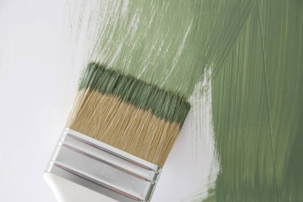 Best Eco-Friendly and Low-VOC Painting  in Grafton, ND